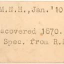 Native Iron (Ex. Amnh From Robert Peary Expedition, 1910) - image 3