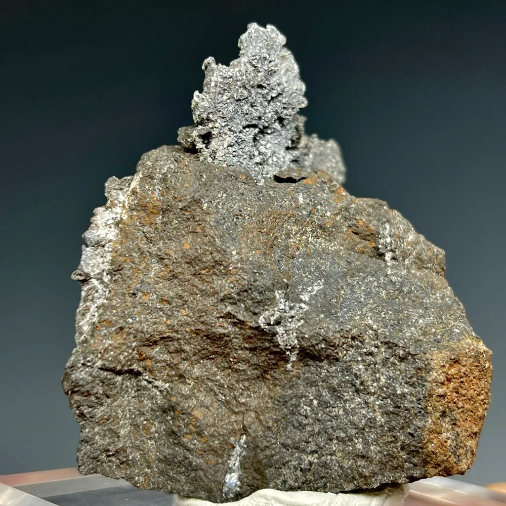 Native Lead - image 4