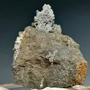 Native Lead - image 4