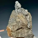 Native Lead - image 2