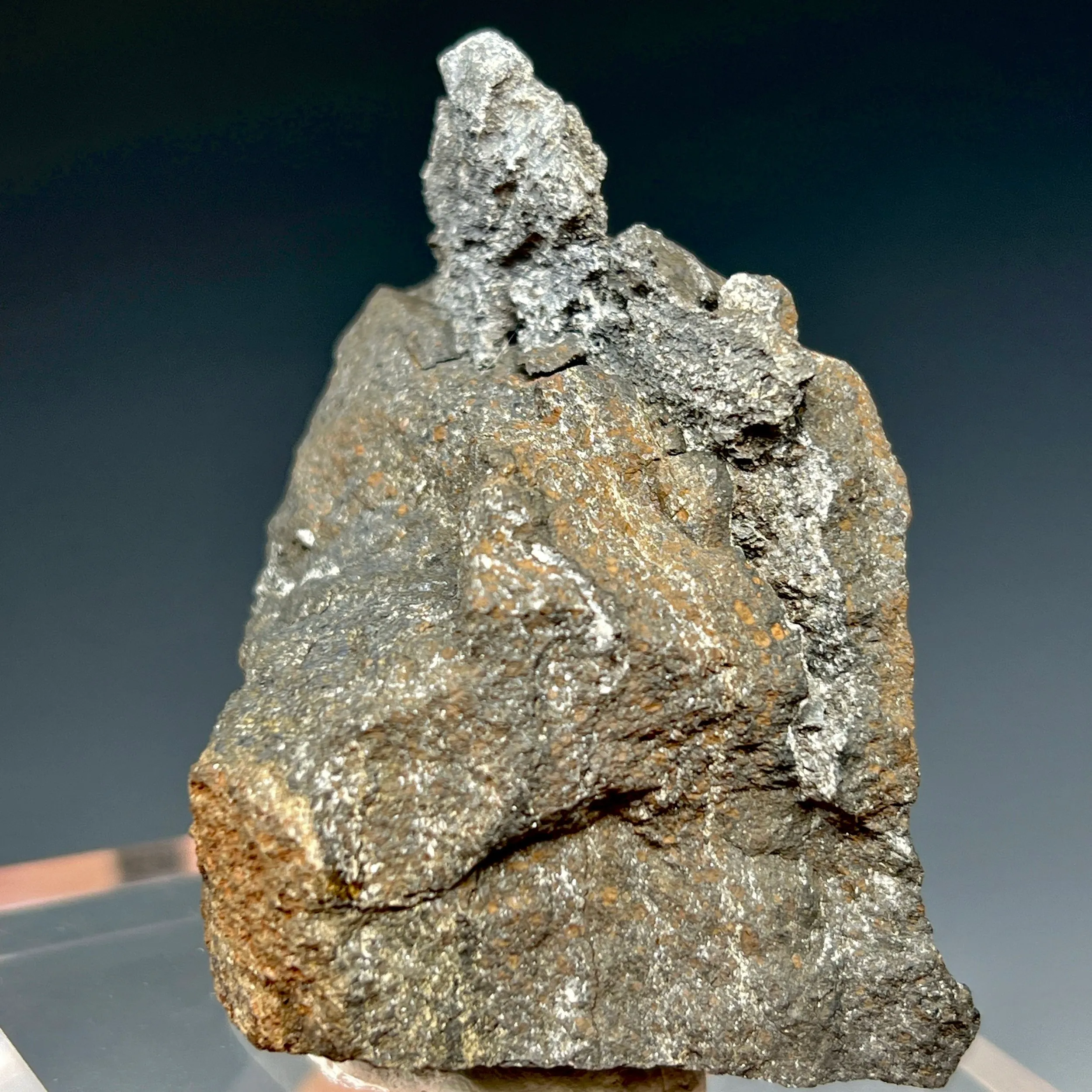 Native Lead - image 2