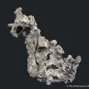 Native Lead - image 6