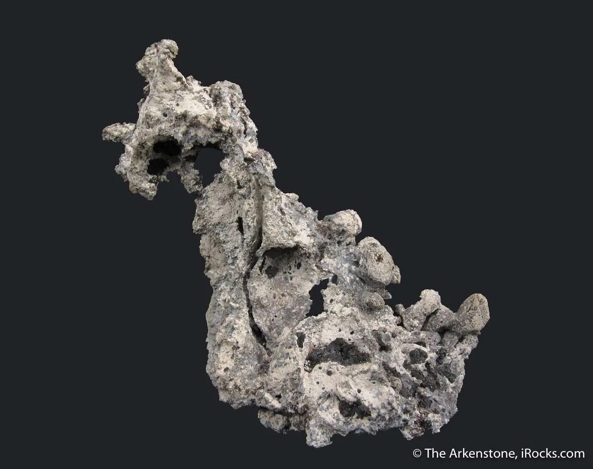 Native Lead - image 6