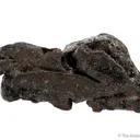 Native Lead - image 4