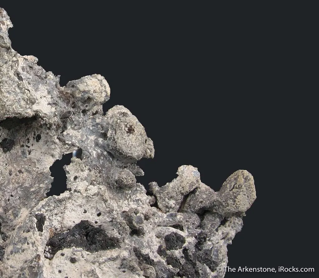 Native Lead - image 5