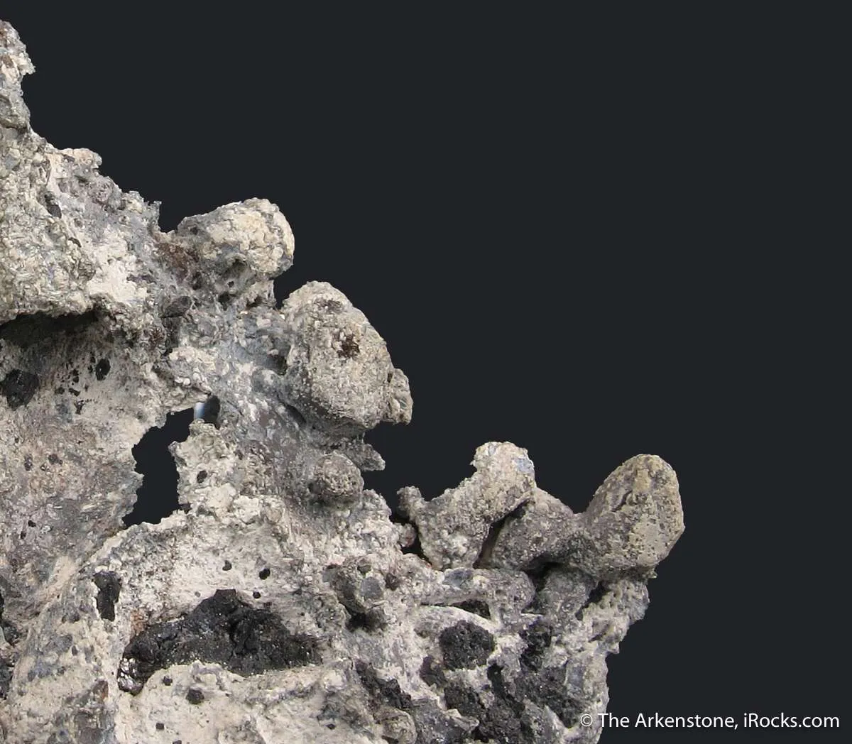 Native Lead - image 5