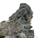 Native Lead - image 2