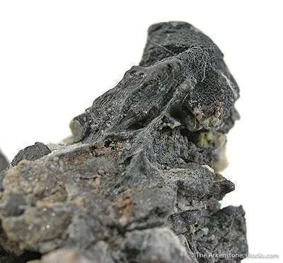 Native Lead - image 2