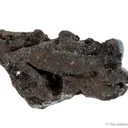 Native Lead - image 2