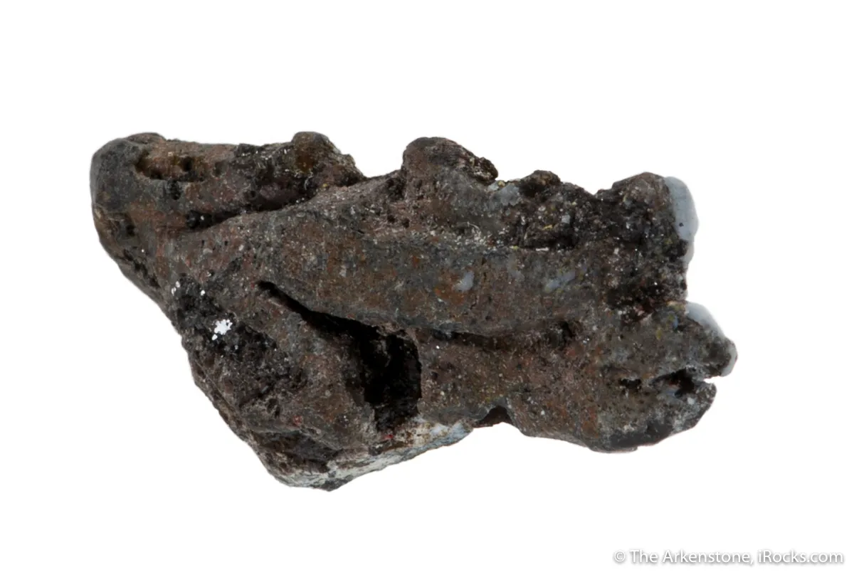 Native Lead - image 2