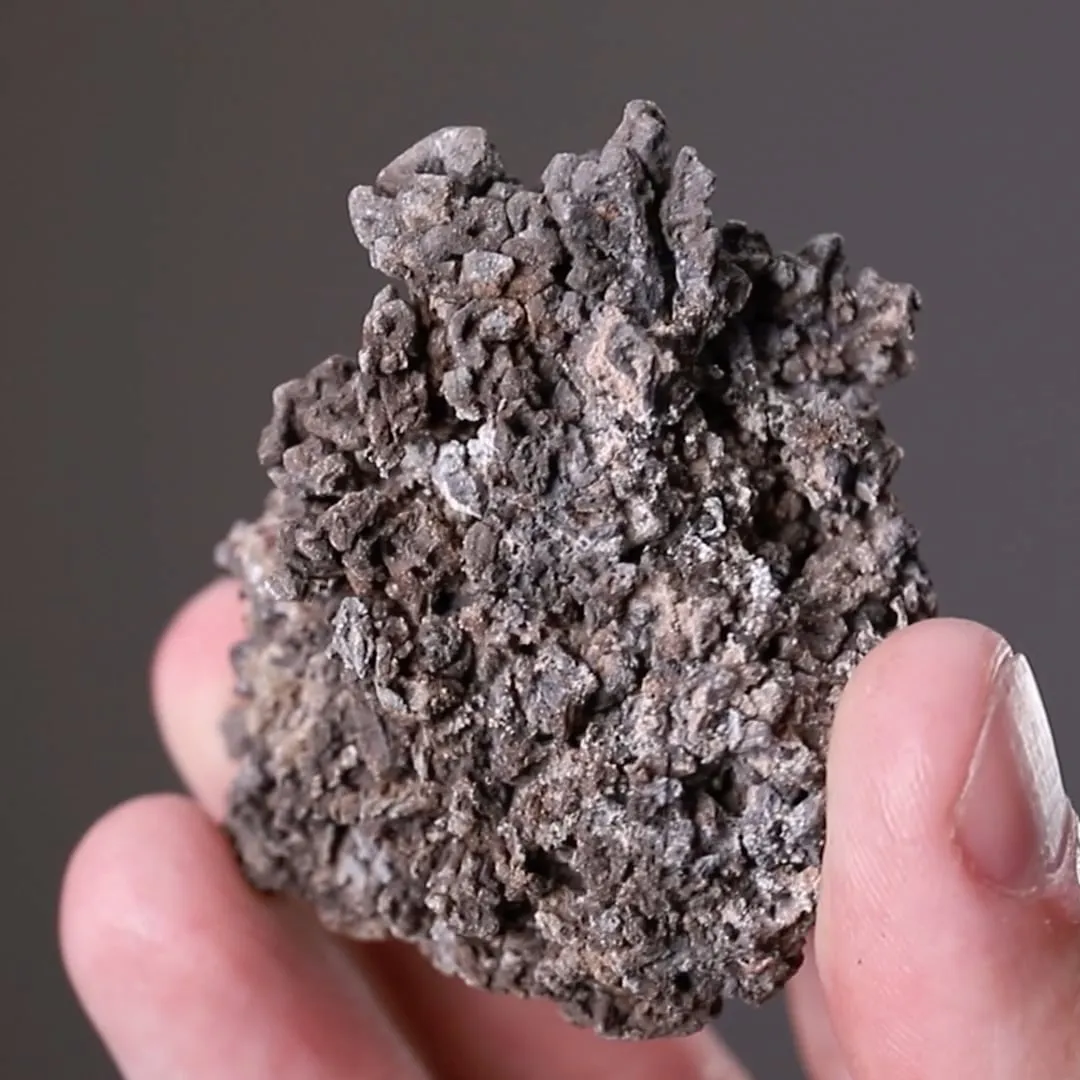 NATIVE Lead - image 2