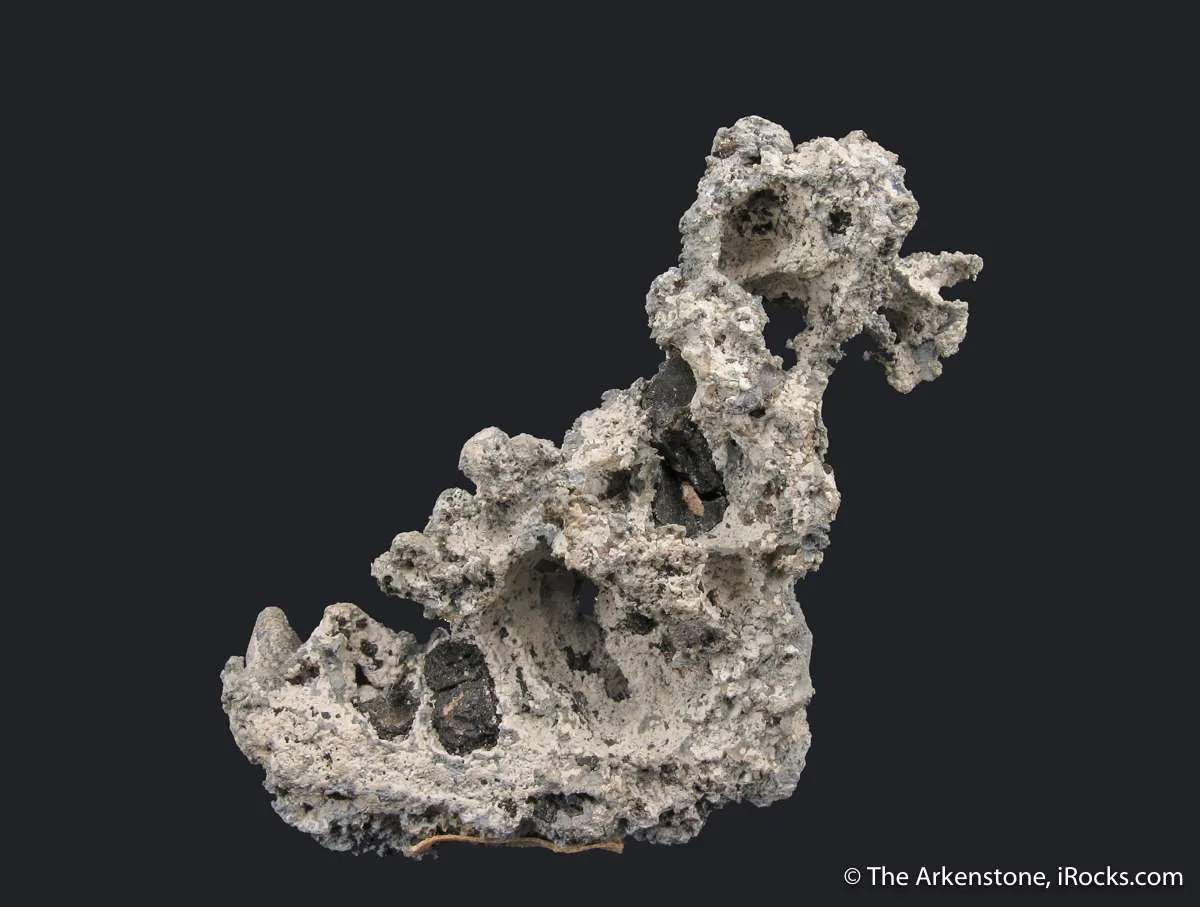 Native Lead - image 4