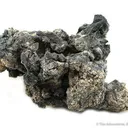 Native Lead - image 1