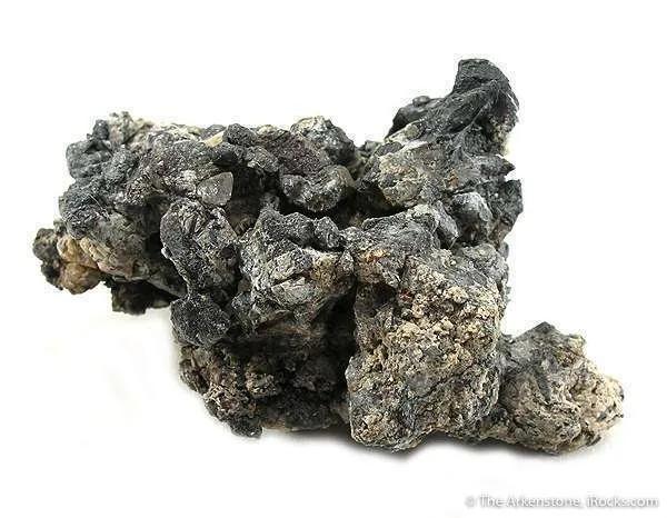 Native Lead - image 1