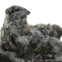 Native Lead - image 3