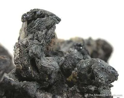 Native Lead - image 3