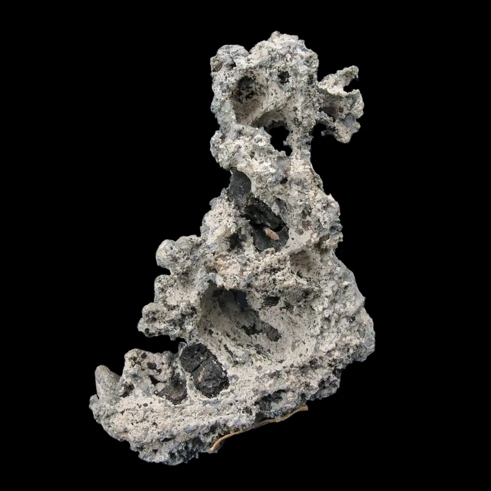 Native Lead - image 3