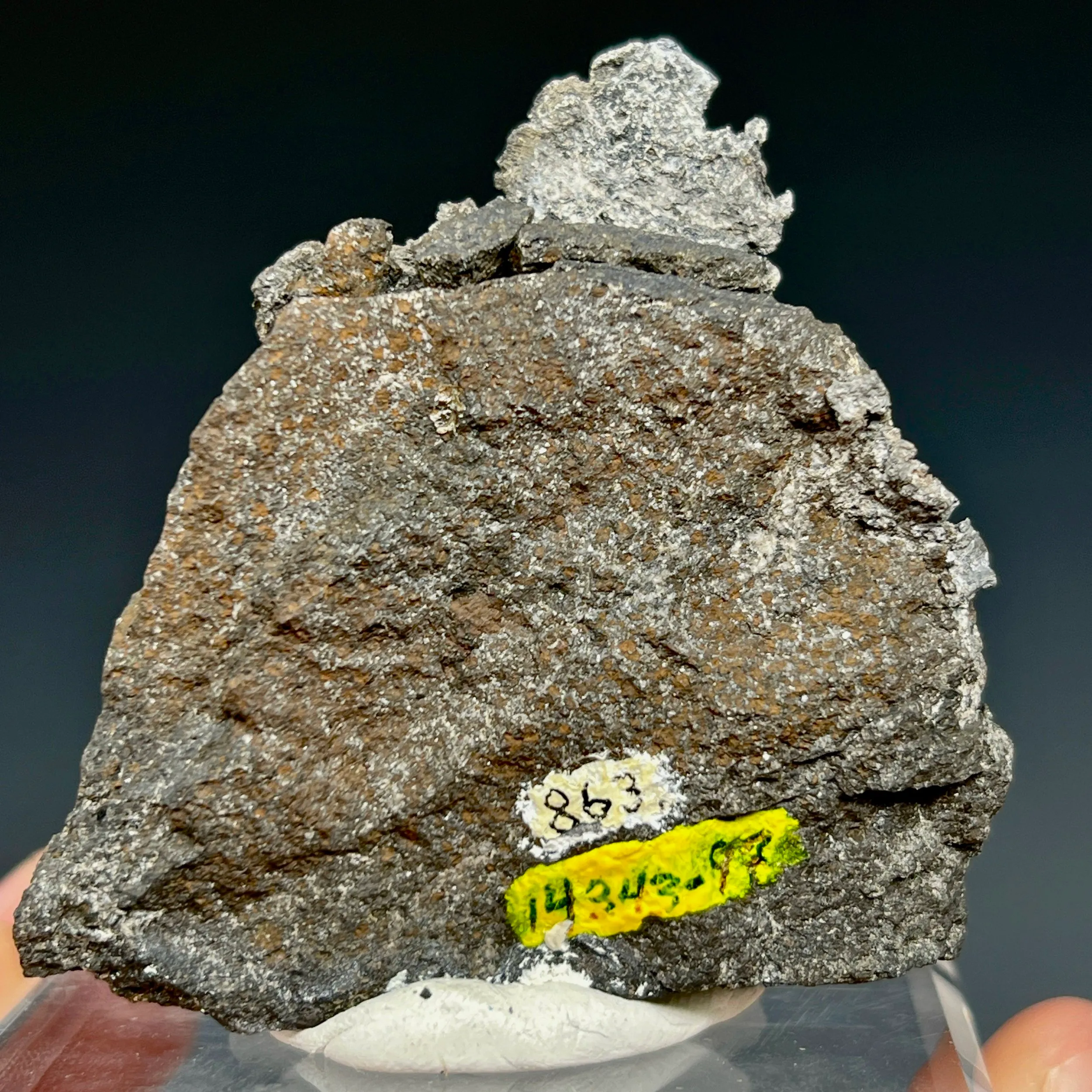 Native Lead - image 3