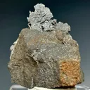 Native Lead - image 1