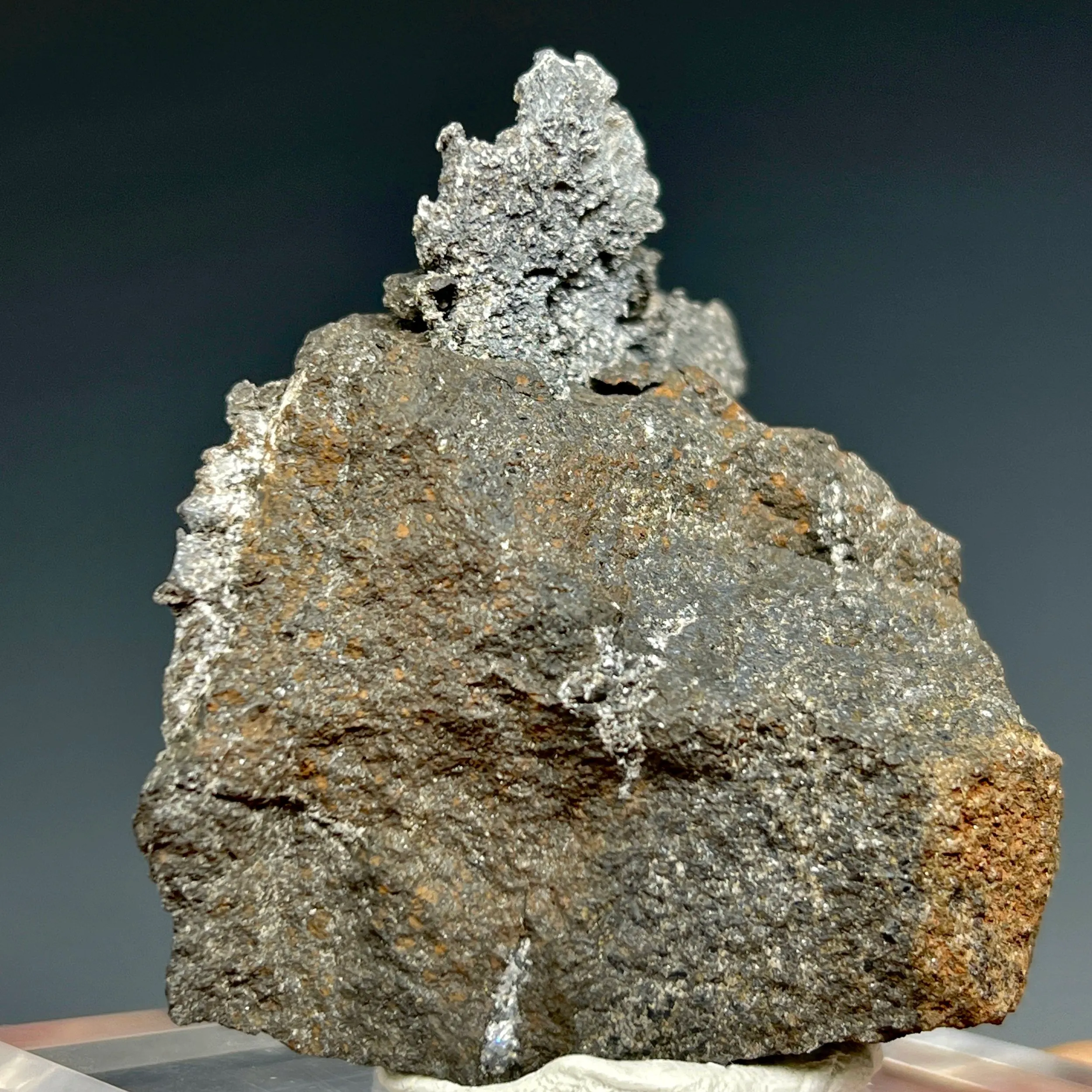 Native Lead - image 4