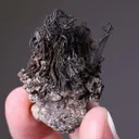 NATIVE Silver - image 2