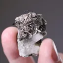 NATIVE Silver - image 2