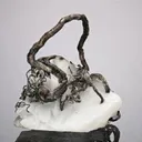 NATIVE Silver - image 1