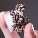 NATIVE Silver - image 2