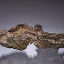 NATIVE Silver - image 1