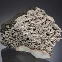 NATIVE Silver - image 1