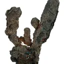 Native Silver - image 1