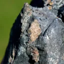 Native silver 164 grams - Imiter Mine, Tinghir, Drâa-Tafilalet, Morocco - image 7