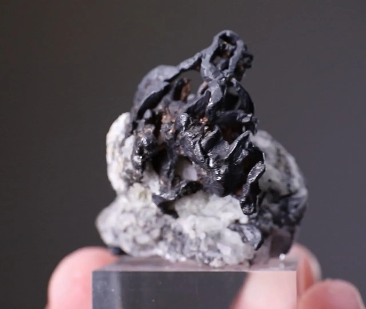 NATIVE Silver - image 2