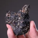 NATIVE Silver - image 2