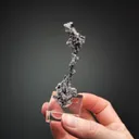 NATIVE Silver - image 2