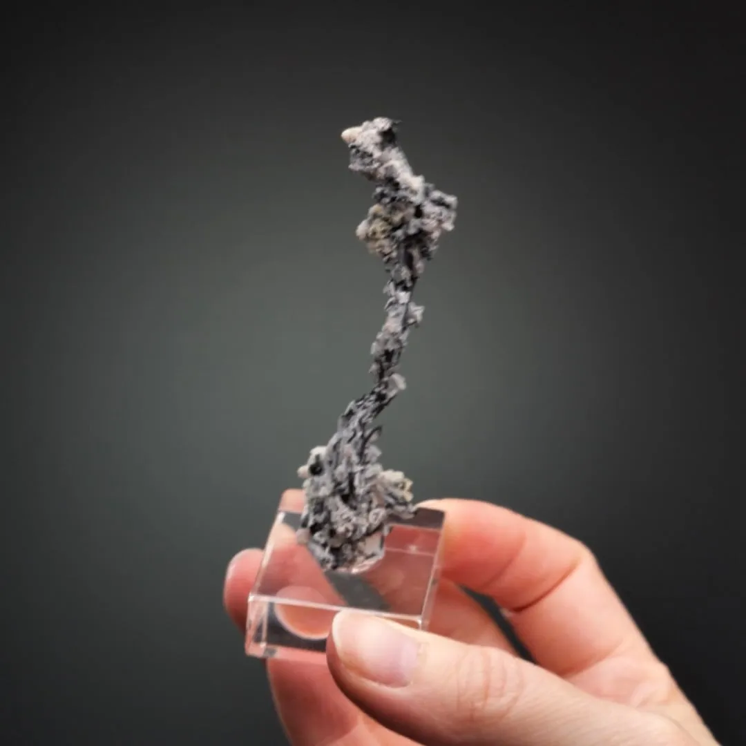 NATIVE Silver - image 2