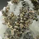 NATIVE Silver - image 1