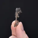 NATIVE Silver - image 2