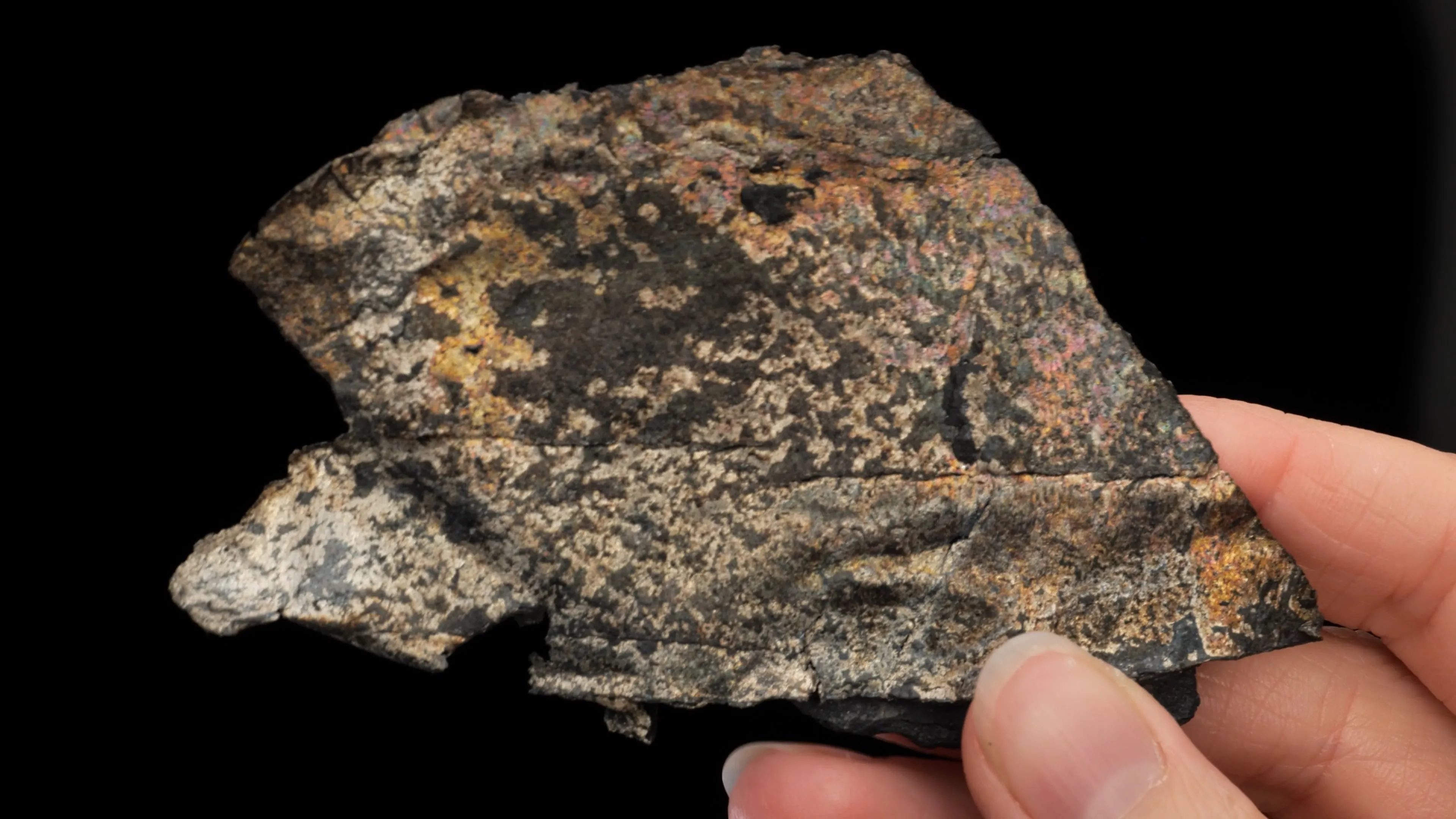 NATIVE Silver - image 2