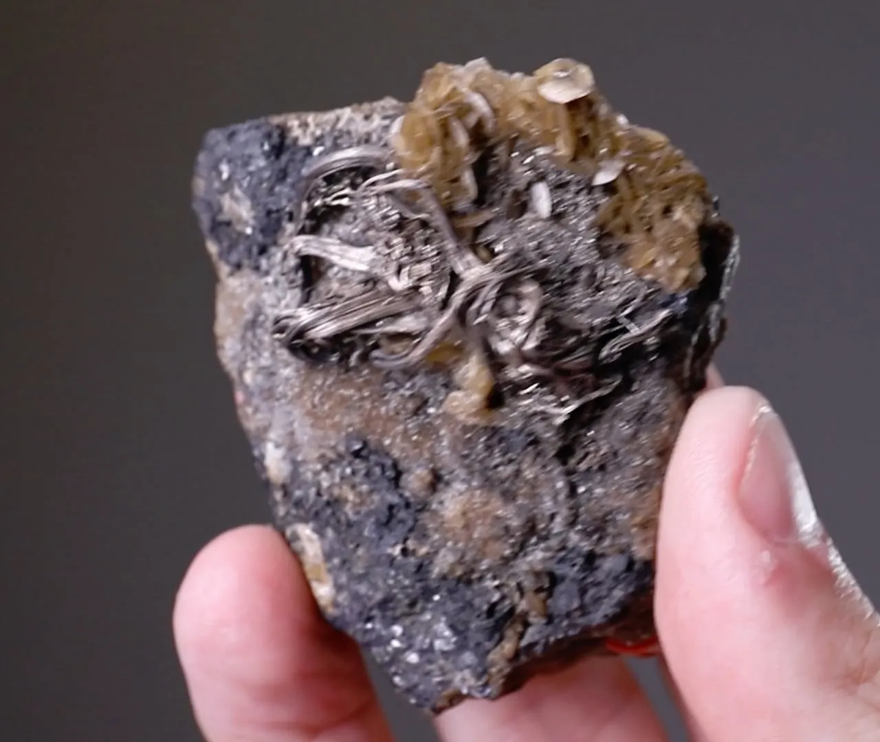 NATIVE Silver - image 2