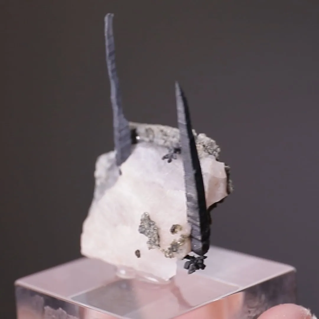 NATIVE Silver - image 2