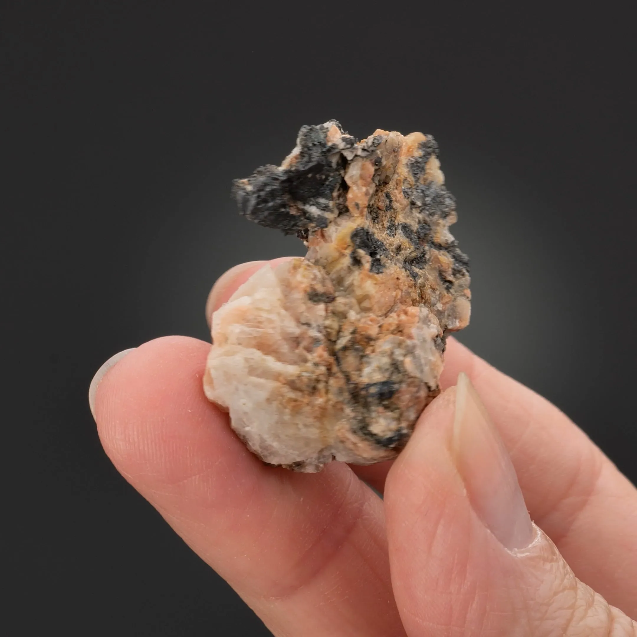 NATIVE Silver - image 2