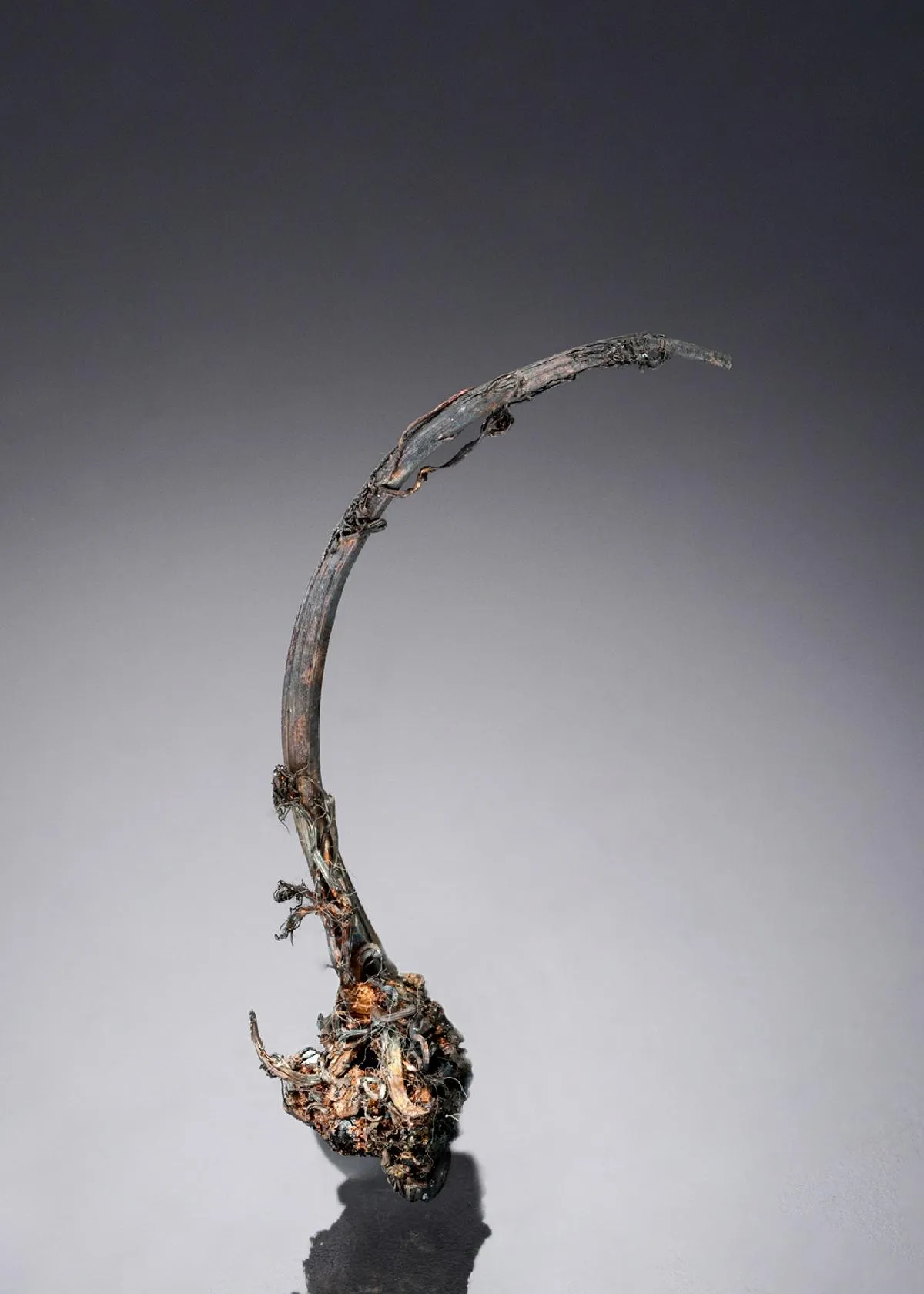 NATIVE Silver - image 1