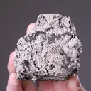 NATIVE Silver - image 2