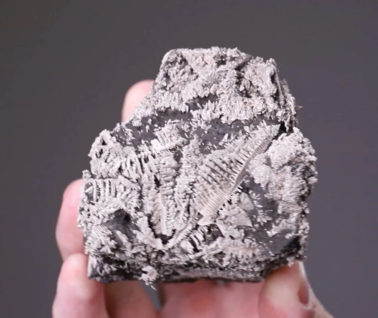 NATIVE Silver - image 2