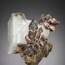 NATIVE Silver - image 1