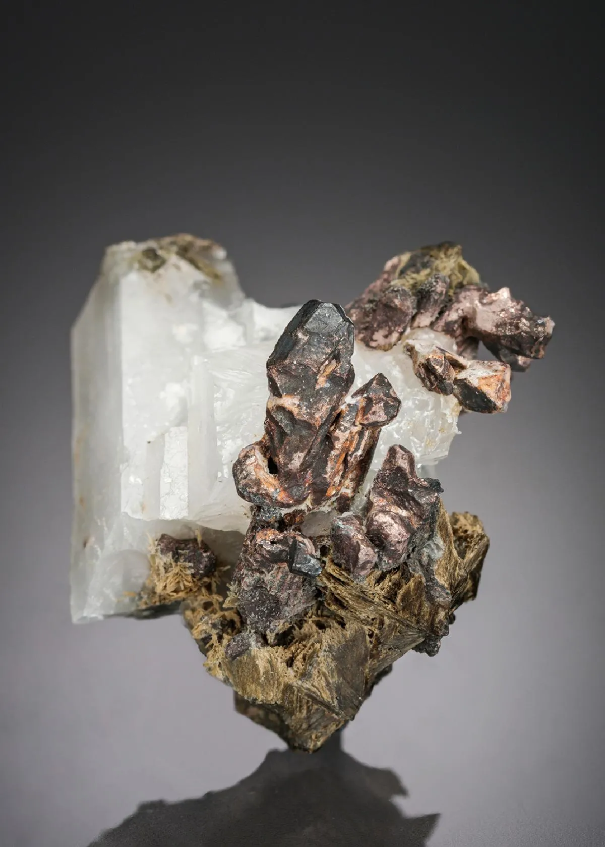 NATIVE Silver - image 1