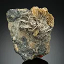 NATIVE Silver - image 1