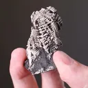 NATIVE SILVER - image 2