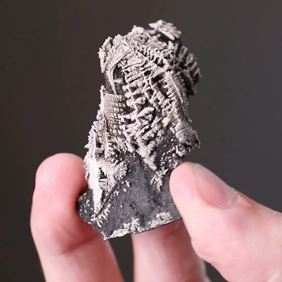 NATIVE SILVER - image 2